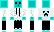 MEMER Minecraft Skin