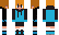 Drfox69 Minecraft Skin