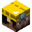 Miner player head preview