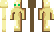 Totemofundying Minecraft Skin