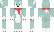 brain Minecraft Skin