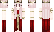 Jaidzn Minecraft Skin