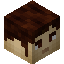 _minecraft____ player head preview