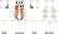 sheep Minecraft Skin